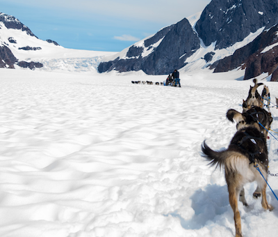 Photo of Extended Dog Sled Glacier